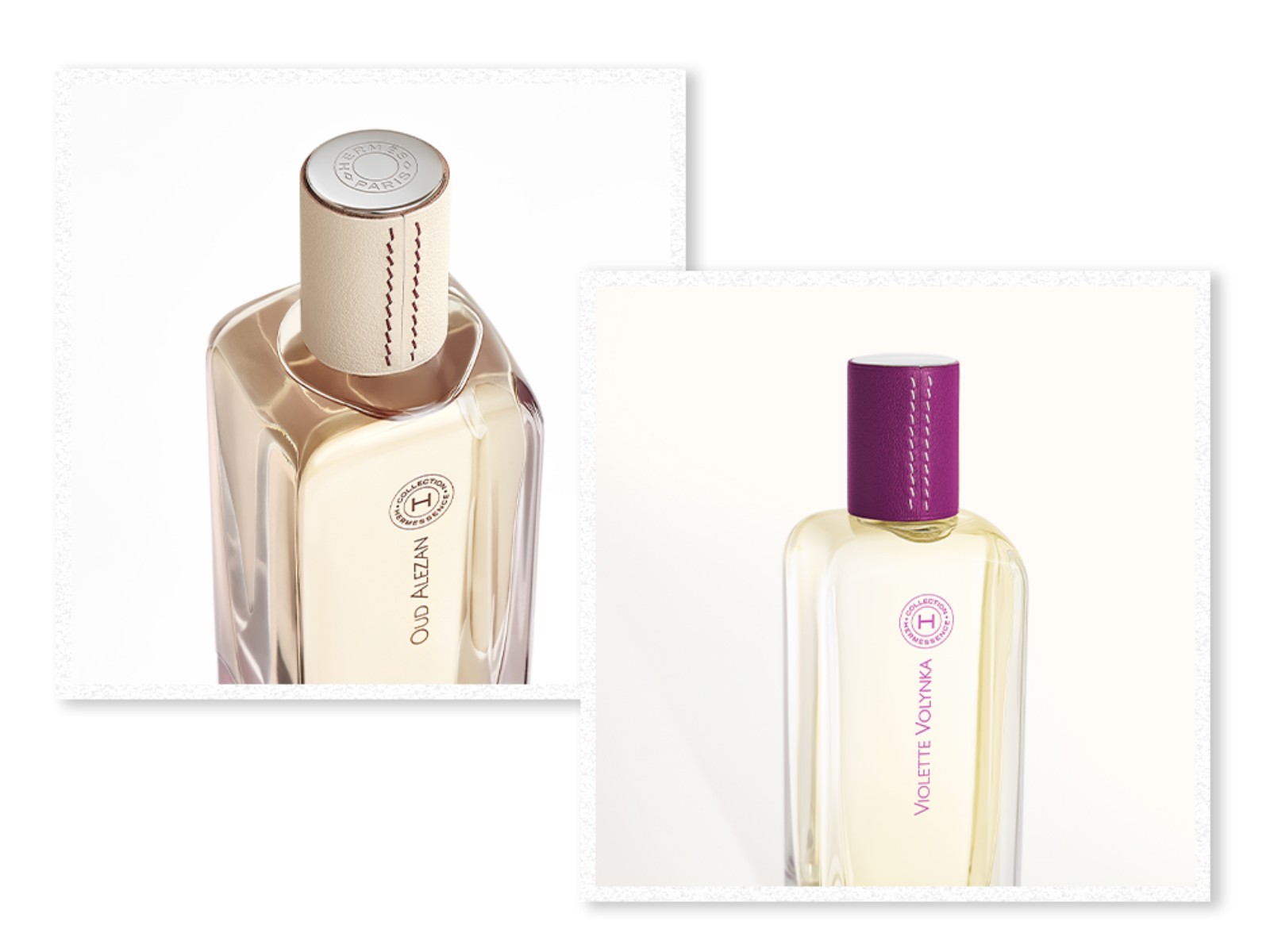 1773200201340310.jpg FotoJet (1).jpg